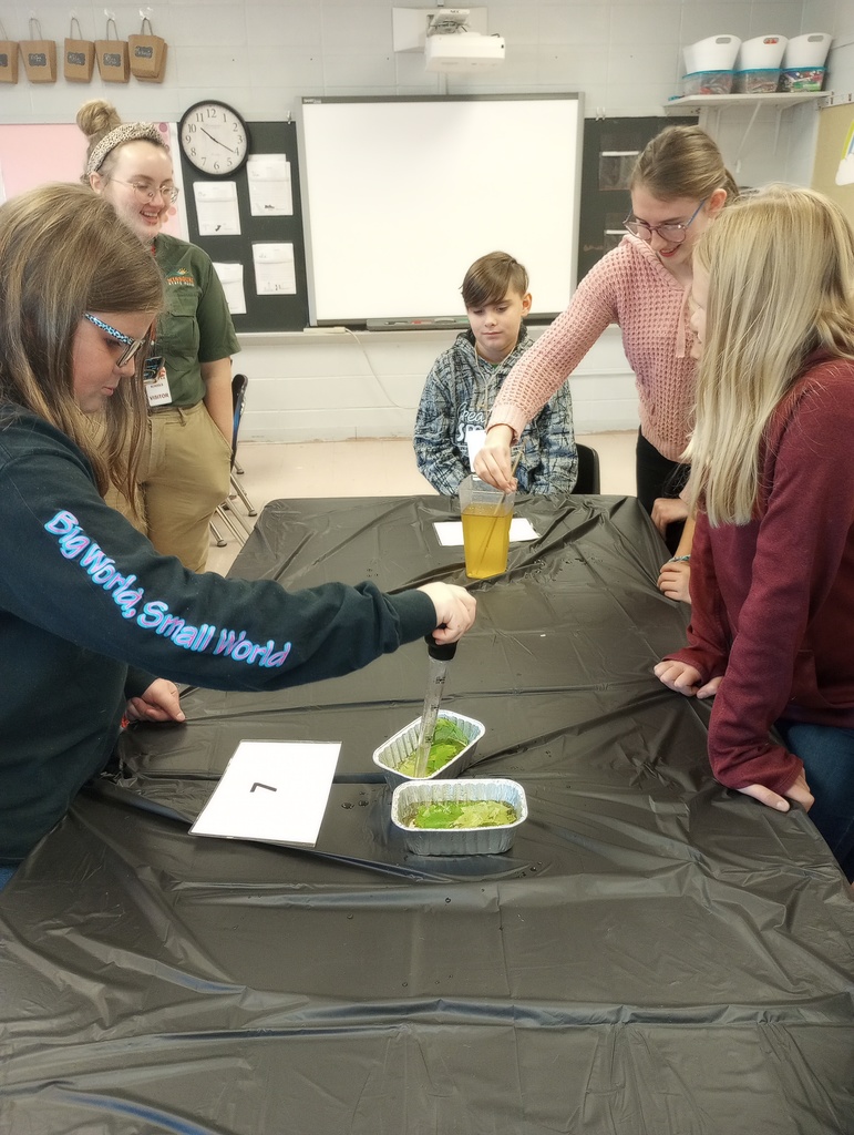 5th Grade Bird Beak Experiment