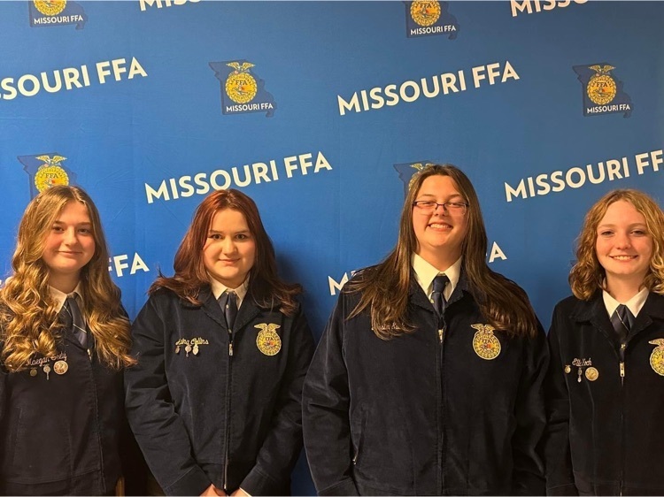 state ffa